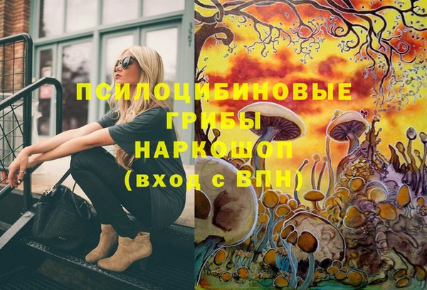 jwh Горно-Алтайск