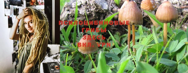 PSILOCYBIN Горняк