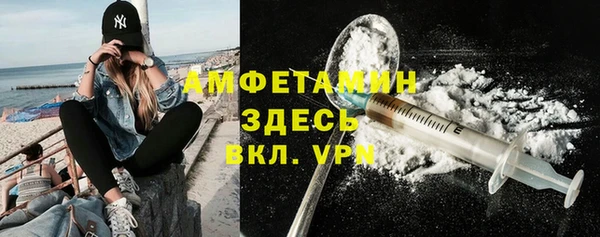 PSILOCYBIN Горняк