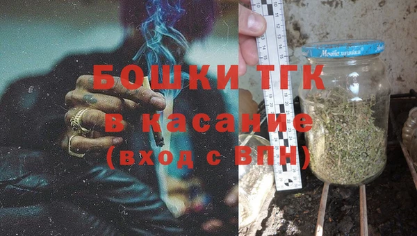 PSILOCYBIN Горняк