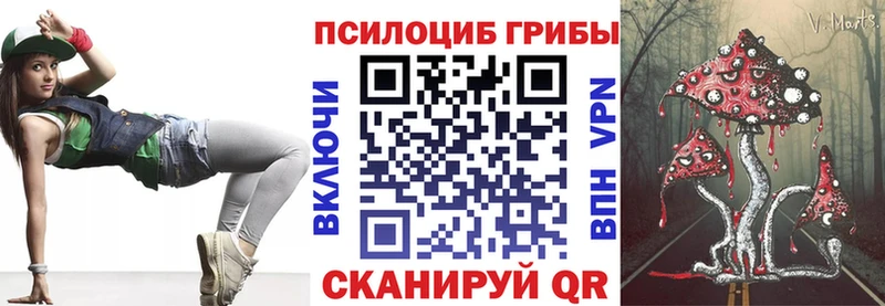 Купить где  Усть-Кут  Псилоцибиновые грибы Cubensis 